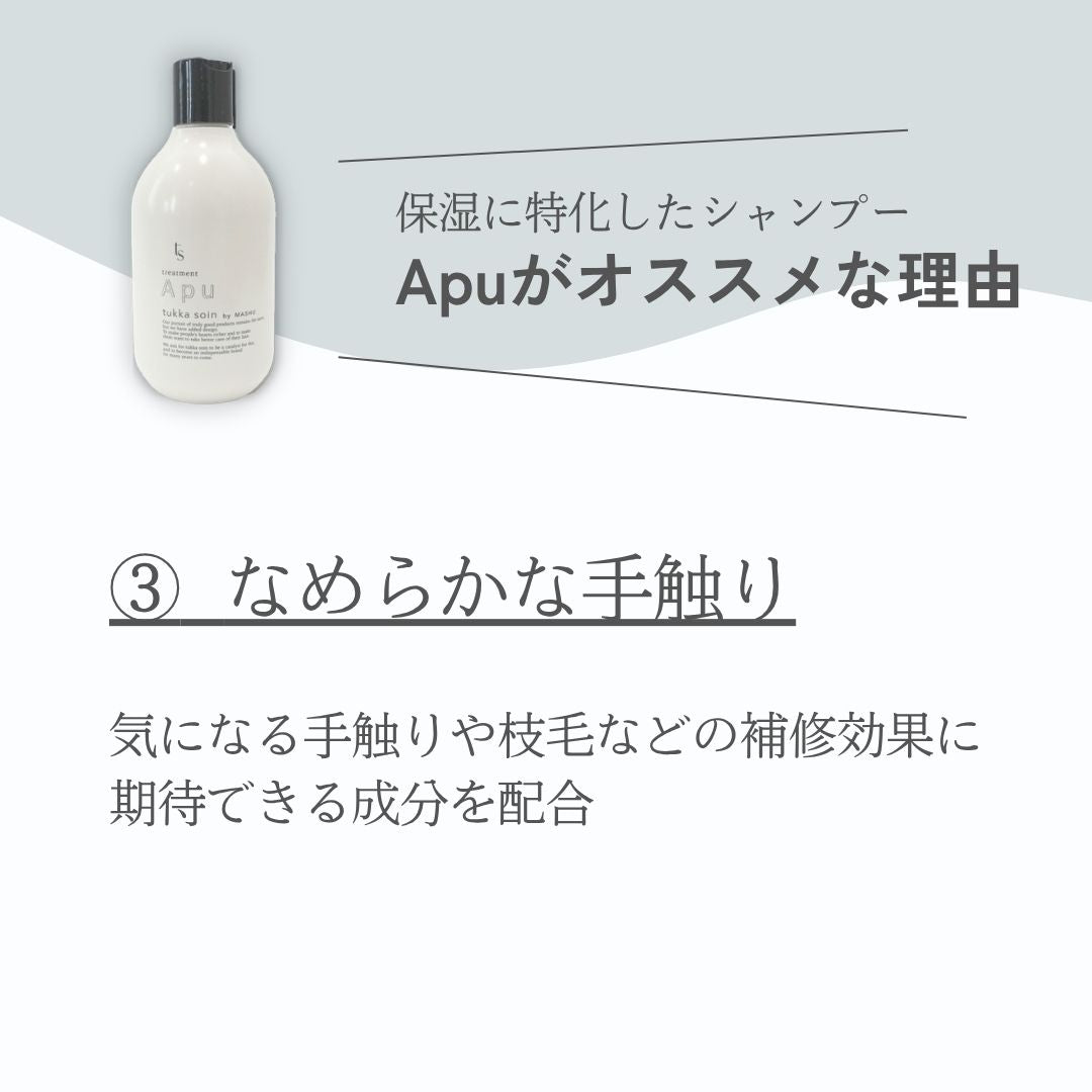 Apu Treatment 300ml（トリートメント）