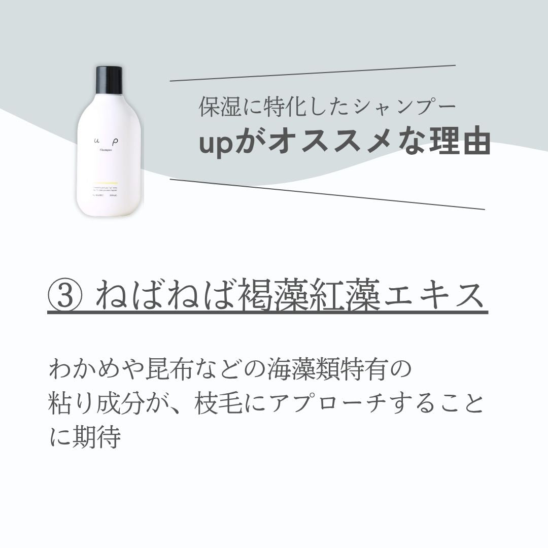 up Shampoo 300ml